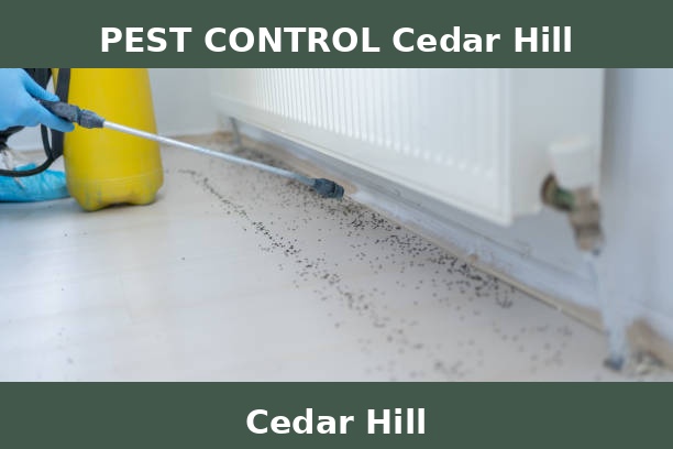 PEST CONTROL Cedar Hill